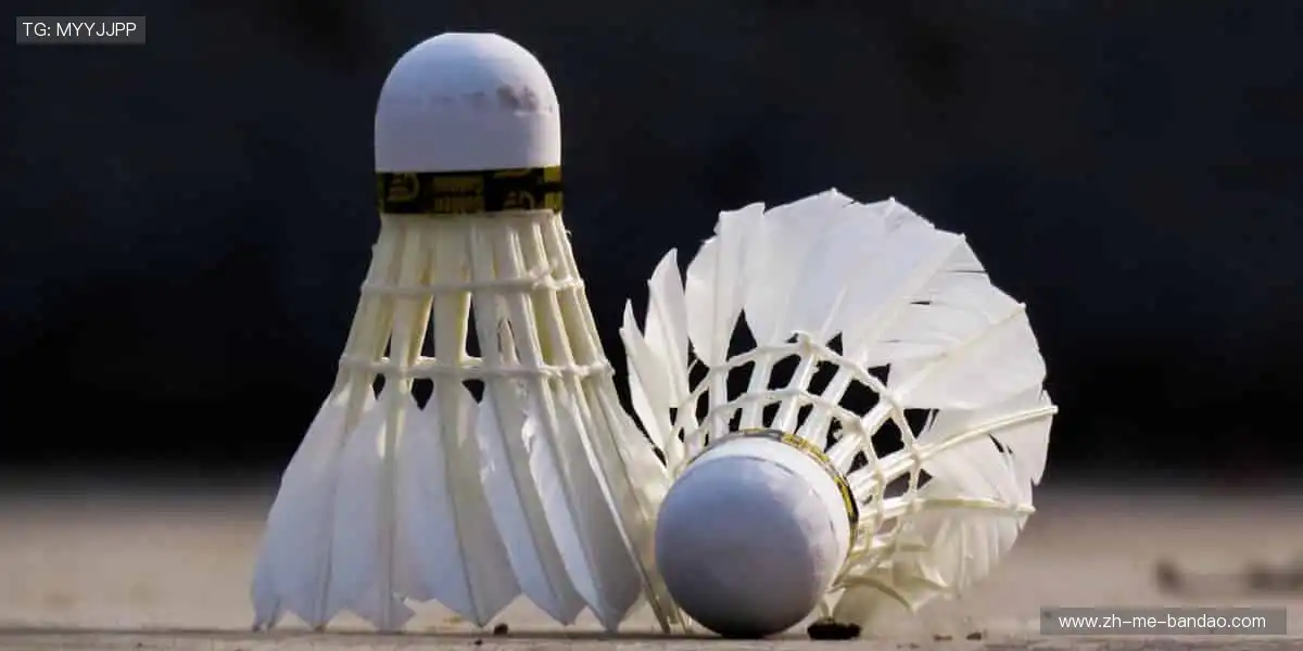 互动直播，让热爱触手可及💬❤️